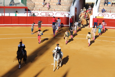 Tarde de seguridad en los toros de Manzanares