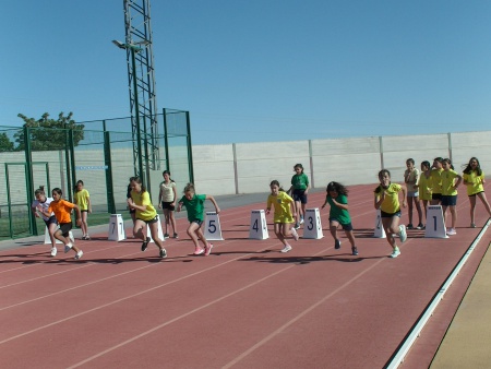 Olimpiadas escolares