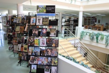 Centro de interés sobre la temática en la primera planta de la biblioteca