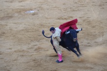 Tarde de seguridad en los toros de Manzanares